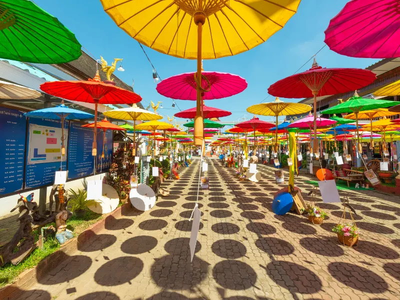 Best of India This Summer